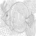 Sailfin tang fish adult coloring book page Royalty Free Stock Photo